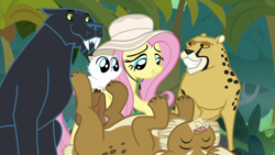 Size: 1920x1080 | Tagged: safe, imported from derpibooru, screencap, fluttershy, big cat, cat, cheetah, jaguar (animal), lynx, daring doubt