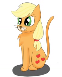 Size: 1374x1684 | Tagged: safe, artist:chocodamai, imported from derpibooru, applejack, cat, cat pony, original species, applecat, catified, cute, daaaaaaaaaaaw, digital art, female, jackabetes, simple background, sitting, solo, species swap, white background