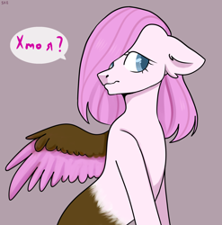 Size: 1580x1600 | Tagged: safe, artist:ske, imported from derpibooru, oc, oc only, griffon, hybrid, pony, solo