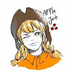 Size: 468x489 | Tagged: safe, artist:mr_lemo_fuck, imported from derpibooru, applejack, human, 2010s, 2019, applejack's hat, braided pigtails, cowboy hat, digital art, female, freckles, hat, humanized, one eye closed, solo