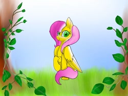 Size: 1080x810 | Tagged: safe, artist:bellas.den, imported from derpibooru, fluttershy, pegasus, pony, 2010s, 2019, female, mare, outdoors, raised hoof, sitting, solo, tree, vine