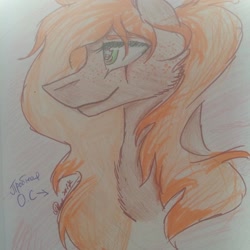 Size: 1080x1080 | Tagged: safe, artist:olyaandspid, imported from derpibooru, oc, oc only, earth pony, pony, 2010s, 2019, earth pony oc, signature, smiling, solo, traditional art