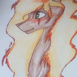 Size: 1080x1080 | Tagged: safe, alternate version, artist:olyaandspid, imported from derpibooru, oc, oc only, earth pony, pony, 2010s, 2019, earth pony oc, signature, smiling, solo, traditional art