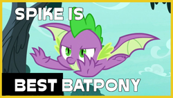 Size: 1280x720 | Tagged: safe, artist:starponys87, imported from derpibooru, screencap, spike, bat pony, dragon, bat ponies in the comments, bat wings, best pony, caption, flying, image macro, joke, male, meme, solo, text, winged spike, wings