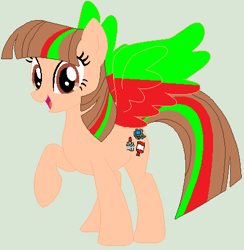 Size: 425x435 | Tagged: safe, artist:twidashfan1234, imported from derpibooru, oc, oc only, oc:firefly solstice, pegasus, pony, 1000 hours in ms paint, solo