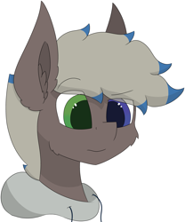 Size: 4671x5611 | Tagged: safe, artist:skylarpalette, imported from derpibooru, oc, oc only, oc:silver lining, earth pony, pony, big ears, bust, cheek fluff, clothes, ear fluff, earth pony oc, fluffy, hoodie, looking forward, male, simple background, simple shading, solo, stallion, transparent background, wat, worried, worry