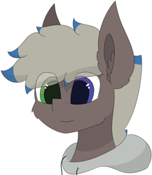 Size: 4810x5531 | Tagged: safe, artist:skylarpalette, imported from derpibooru, oc, oc only, oc:silver lining, earth pony, pony, bust, cheek fluff, clothes, ear fluff, earth pony oc, fluffy, hoodie, male, simple background, simple shading, smiling, solo, stallion, transparent background