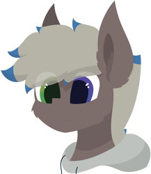 Size: 4810x5531 | Tagged: safe, alternate version, artist:skylarpalette, imported from derpibooru, oc, oc only, oc:silver lining, earth pony, pony, big ears, bust, cheek fluff, ear fluff, earth pony oc, fluffy, lineless, looking forward, male, simple background, simple shading, smiling, solo, stallion, transparent background