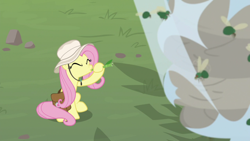 Size: 1920x1080 | Tagged: safe, imported from derpibooru, screencap, fluttershy, fly, fly-der, hybrid, spider, daring doubt