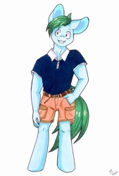 Size: 768x1136 | Tagged: safe, artist:hs_creativestudios, imported from derpibooru, oc, oc only, oc:summer fluff, anthro, clothes, male, polo shirt, shorts, solo, stallion