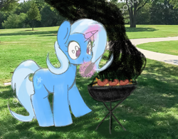 Size: 1388x1080 | Tagged: safe, anonymous artist, imported from derpibooru, trixie, pony, unicorn, female, food, grill, hot dog, irl, levitation, link, magic, mare, meat, photo, ponies eating meat, ponies in real life, sausage, solo, telekinesis, the legend of zelda, tongs, wiener