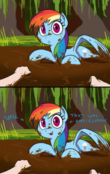 Size: 600x948 | Tagged: safe, artist:doublewbrothers, imported from derpibooru, rainbow dash, human, pegasus, 2 panel comic, backwards cutie mark, comic, cropped, looking at you, mud, muddy, muddy hooves, offscreen character, pov, rainbow dash simulator, story in the source, talking to viewer, text