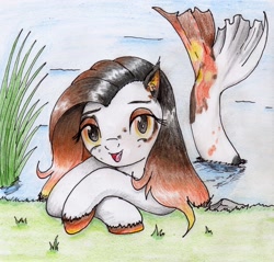 Size: 2207x2108 | Tagged: safe, artist:40kponyguy, derpibooru exclusive, imported from derpibooru, oc, oc only, unnamed oc, merpony, cute, ear fluff, female, fish tail, grass, looking at you, mare, ocbetes, requested art, solo, traditional art, unshorn fetlocks, water