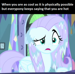 Size: 494x493 | Tagged: safe, edit, edited screencap, editor:fluttershyisnot adoormat, imported from derpibooru, screencap, fluttershy, ail-icorn, spoiler:interseason shorts, cool, fluttercold, freezing, frozen, meme, raised eyebrow