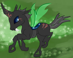 Size: 508x407 | Tagged: safe, artist:naomasdarkside, imported from derpibooru, oc, oc:sketch (changeling), changeling, commission