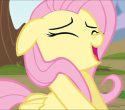 Size: 1065x939 | Tagged: safe, imported from derpibooru, screencap, fluttershy, pegasus, pony, rainbow falls, season 4, cropped, cute, eyes closed, female, floppy ears, open mouth, out of context, outdoors, shyabetes, smiling, solo