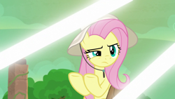 Size: 1920x1080 | Tagged: safe, imported from derpibooru, screencap, fluttershy, pony, daring doubt, female, solo