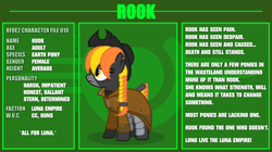 Size: 7140x4000 | Tagged: safe, artist:estories, imported from derpibooru, oc, oc only, oc:rook (estories), earth pony, pony, absurd resolution, clothes, female, hat, mare, reference sheet, solo