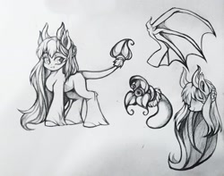 Size: 1920x1510 | Tagged: safe, artist:wkirin, imported from derpibooru, oc, oc only, original species, succubus, succubus pony, bat wings, fangs, female, mare, monochrome, reference sheet, solo, unshorn fetlocks, wings