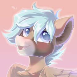 Size: 1500x1500 | Tagged: safe, artist:kebchach, imported from derpibooru, oc, oc only, pegasus, pony, bust, chest fluff, ear fluff, open mouth, pegasus oc, pink background, simple background, smiling, solo, wings