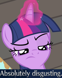 Size: 620x775 | Tagged: safe, imported from derpibooru, twilight sparkle, alicorn, pony, princess twilight sparkle (episode), caption, expand dong, exploitable meme, female, glowing horn, horn, image macro, magic, mare, meme, reaction image, solo, twilight sparkle (alicorn)