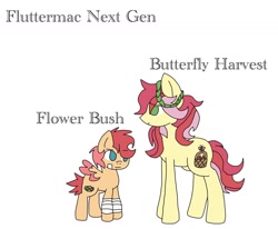 Size: 1436x1184 | Tagged: safe, artist:analyia09, imported from derpibooru, oc, oc:butterly harvest, oc:flower bush, earth pony, pegasus, pony, bandaid, brother and sister, female, floral head wreath, flower, foal, male, offspring, parent:big macintosh, parent:fluttershy, parents:fluttermac, siblings, simple background, white background