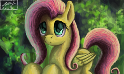 Size: 854x512 | Tagged: safe, artist:dreamyskies, imported from derpibooru, fluttershy, pony, complex background, cute, female, innocent, looking up, mare, shy, solo, wings