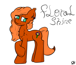 Size: 1464x1245 | Tagged: safe, artist:gamer-shy, imported from derpibooru, oc, oc:floral shine, fox, fox pony, hybrid, original species, fluffy, orange fur, simple background, white background