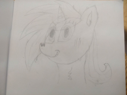 Size: 4000x3000 | Tagged: safe, artist:barpy, imported from derpibooru, oc, oc only, earth pony, pony, bust, fluffy, looking at you, portrait, simple background, sketch, solo, traditional art