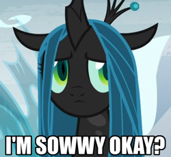 Size: 584x535 | Tagged: safe, edit, edited screencap, imported from derpibooru, screencap, queen chrysalis, changeling, changeling queen, pony, frenemies (episode), season 9, spoiler:s09, a better ending for chrysalis, adorable distress, adorkable, alternate ending, alternate scenario, alternate universe, anxiety, apology, awkward, baby talk, breakdown, caption, character development, cropped, cute, cutealis, dialogue, dork, dorkalis, faic, female, frown, good end, image macro, impact font, insecure, looking at you, majestic as fuck, mare, meta, nervous, precious, reaction image, redemption, reformed, regret, sad, sadorable, shy, silly, silly pony, solo, sorry, spread wings, standing, talking, text, what if, wings, worried