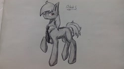 Size: 2560x1440 | Tagged: artist needed, source needed, safe, imported from derpibooru, oc, oc only, oc:silver bristle, earth pony, pony, cutie mark, looking at you, male, missing accessory, missing cutie mark, necktie, one hoof raised, paper, photo, raised hoof, solo, stallion, traditional art