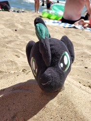 Size: 320x240 | Tagged: safe, imported from derpibooru, oc, oc:brony t pony, pegasus, pony, beach, buried in sand, irl, lake tahoe, photo, plushie, sand