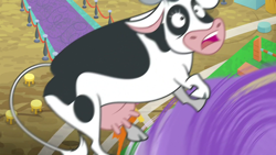 Size: 1920x1080 | Tagged: safe, imported from derpibooru, screencap, bloofy, cow, growing up is hard to do, this will end in death, this will end in tears, this will end in tears and/or death, udder