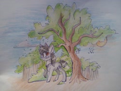 Size: 2560x1920 | Tagged: artist needed, source needed, safe, imported from derpibooru, oc, oc only, oc:silver bristle, earth pony, pony, cloud, cutie mark, glasses, male, necktie, outdoors, photo, sky, solo, stallion, traditional art, tree