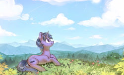 Size: 3326x2021 | Tagged: safe, artist:mirroredsea, imported from derpibooru, oc, oc only, oc:geekbrony, oc:techno drift, pony, unicorn, cloud, cloudy, commission, nature, photo, scenery, sky, solo