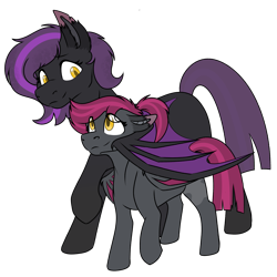 Size: 1839x1836 | Tagged: source needed, safe, artist:rokosmith26, imported from derpibooru, oc, oc only, oc:lunier constantine, oc:midnight taffy, bat pony, pony, duo, duo female, ear fluff, female, filly, folded wings, holding, lifted leg, looking at each other, mare, ponytail, short hair, short mane, simple background, transparent background, wings