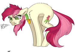 Size: 2500x1780 | Tagged: safe, artist:chibadeer, edit, editor:merik1337, imported from derpibooru, roseluck, earth pony, insect, pony, angry, arched back, behaving like a cat, collar, female, hissing, pony pet, rosepet, simple background, slit eyes, slit pupils, solo, threat display