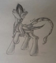 Size: 496x561 | Tagged: safe, artist:kiwwsplash, imported from derpibooru, oc, oc only, pegasus, pony, braid, pegasus oc, raised hoof, scorpion tail, signature, smiling, solo, traditional art, wings