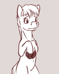 Size: 842x1047 | Tagged: safe, artist:fynjy-87, imported from derpibooru, earth pony, blonde mane, male, stallion