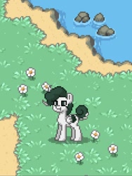 Size: 712x949 | Tagged: safe, imported from derpibooru, oc, oc:white thorns, unnamed oc, pegasus, pony, pony town, male