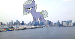 Size: 1024x538 | Tagged: safe, imported from derpibooru, limestone pie, earth pony, pony, female, giant earth pony, giant ponies in real life, giant pony, giant/macro earth pony, giantess, highrise ponies, irl, limezilla, macro, mare, mega giant, photo, ponies in real life, solo, tokyo