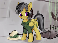 Size: 4023x2973 | Tagged: safe, artist:xbi, imported from derpibooru, daring do, pegasus, pony, 30 minute art challenge finished after, arrow, clothes, dungeon, female, folded wings, hat, high res, jacket, looking back, mare, solo, trap (device), wings, wrong eye color