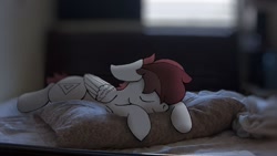 Size: 1280x720 | Tagged: safe, artist:allen2448, imported from derpibooru, oc, oc only, oc:allen, pegasus, pony, comfy, floppy ears, irl, photo, pillow, ponies in real life, sleeping, solo