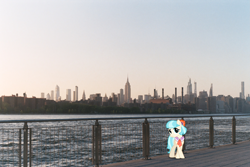 Size: 3001x1999 | Tagged: safe, artist:itv-canterlot, artist:nate issac, editor:jaredking203, editor:jaredking779, imported from derpibooru, coco pommel, earth pony, pony, bridge, female, irl, mare, new york, new york city, photo, ponies in real life, railing, solo