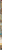 Size: 850x20058 | Tagged: safe, artist:queencold, imported from derpibooru, baby cinder, dragon lord torch, garble, princess ember, smolder, comic:a dog's mother, angry, beret, cave, clothes, comic, dragon lord ember, earthquake, fire, hat, sneezing, thumbnail is a stick, yelling