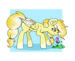 Size: 3826x3137 | Tagged: safe, artist:dreamy990, artist:nightydream, imported from derpibooru, oc, oc only, oc:cloudy lemonade, pegasus, pony, female, flower, mare, simple background, solo, white background