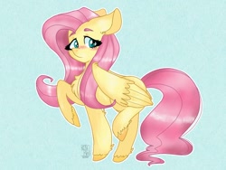 Size: 1024x768 | Tagged: safe, artist:rosekawaii2, imported from derpibooru, fluttershy, pegasus, pony, blushing, chest fluff, colored hooves, cute, female, floppy ears, hoof fluff, leg fluff, looking at you, mare, outline, raised hoof, raised leg, shyabetes, solo, standing, three quarter view, white outline, wings