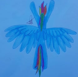 Size: 1080x1060 | Tagged: safe, artist:artiststr, imported from derpibooru, rainbow dash, fly, insect, pegasus, pony, flying, rainbow, traditional art, wings