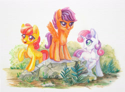 Size: 1600x1178 | Tagged: safe, artist:maytee, imported from derpibooru, apple bloom, scootaloo, sweetie belle, earth pony, pegasus, pony, unicorn, adorabloom, colored pencil drawing, cute, cutealoo, cutie mark crusaders, cutie mark cuties, diasweetes, female, filly, traditional art, trio