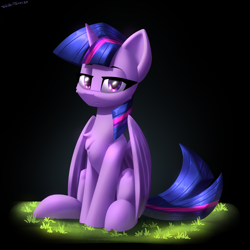 Size: 2400x2400 | Tagged: safe, artist:shido-tara, imported from derpibooru, twilight sparkle, alicorn, pony, female, grass, lidded eyes, looking at you, mare, simple background, sitting, smiling, smirk, solo, twilight sparkle (alicorn)